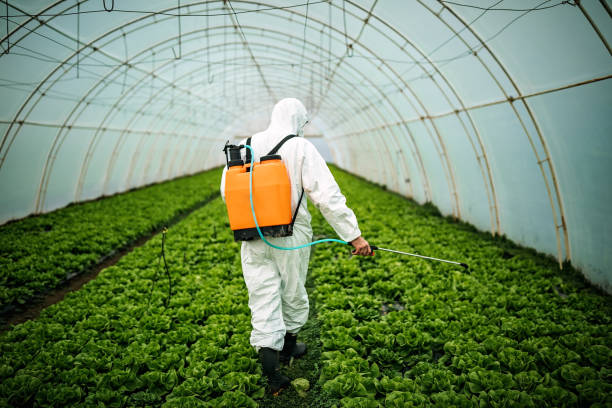 Best Affordable Pest Control Services  in La Plata, NM