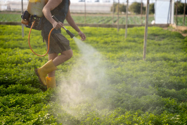 Best Commercial Pest Control Services  in La Plata, NM