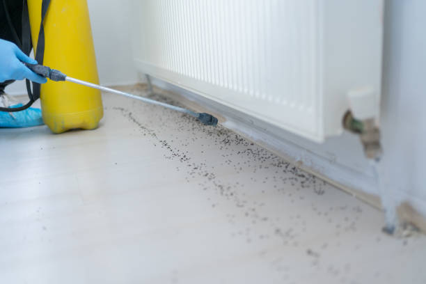 Best Best Pest Control Companies  in La Plata, NM